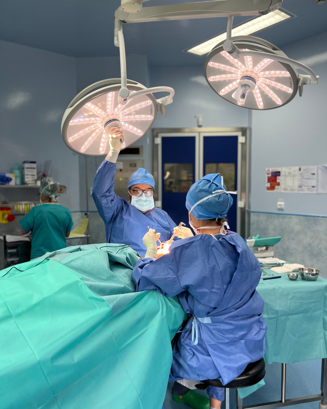 Intérieur clinique du lac